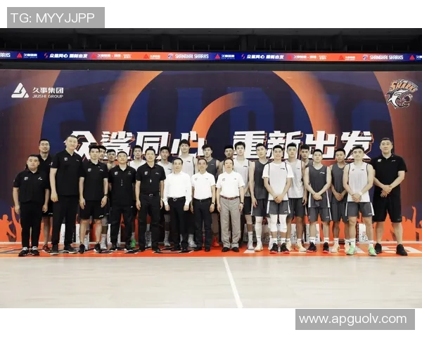 上海街舞队区域防守分析与运动表现的深度探讨