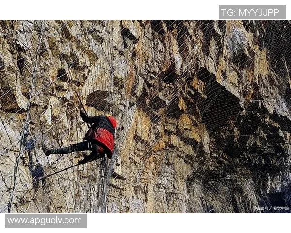 攀岩运动中的心理素质探讨聚焦成都攀岩队的训练与挑战