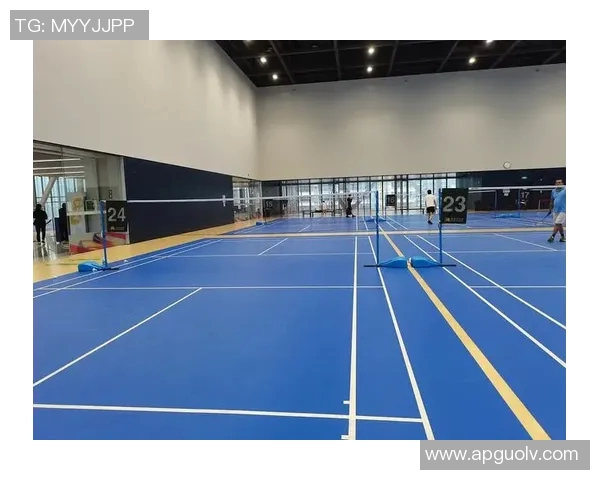 羽毛球热议深圳队实力引发争议欧冠足球赛场再掀波澜