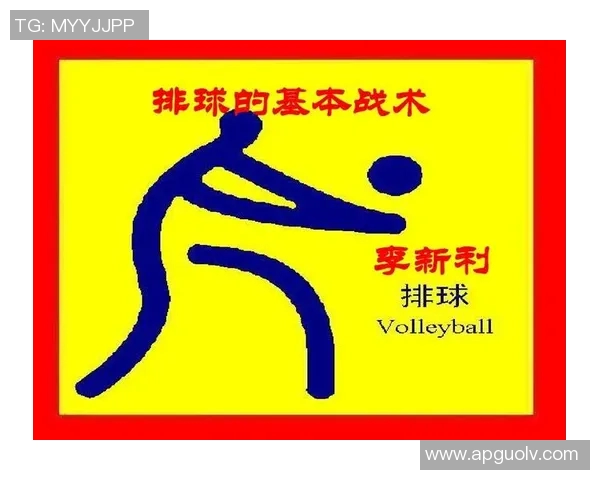 南京排球队反击战术深度剖析与技术解析之旅