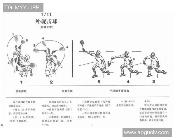 羽毛球新手必看全面攻略轻松掌握节奏与技巧入门指南