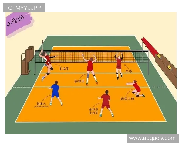 实时新闻排球战术解析深入探讨西安排球队的战术控制与团队协作技巧 实时新闻排球战术解析深入探讨西安排球队的战术控制与团队协作技巧